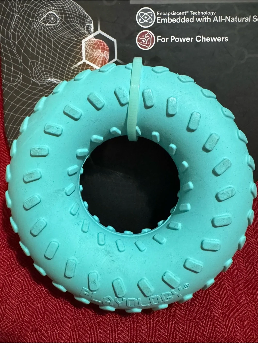 Peanut Butter Scented Dual Layer Ring Dog Toy - Turquoise